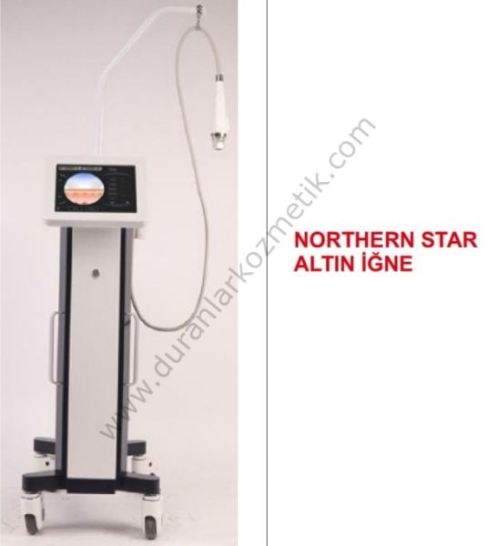 NORTHERN STAR ALTIN İĞNE